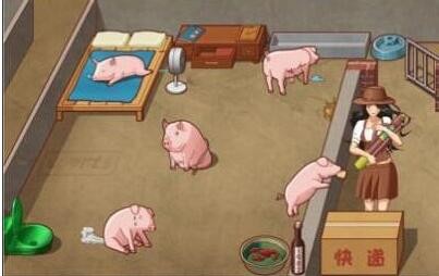 如何让您的猪儿过上精致生活？- 游戏攻略：美梦养猪汉字达人