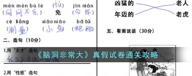 「必看！『脑洞大开』试卷攻略，通关指南大公开！」
