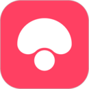 下载蘑菇街app免费_蘑菇街app安卓下载v17.0.1.24554