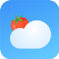 番茄天气软件免费下载_番茄天气app下载免费v2.0.0