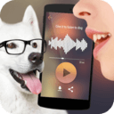 可爱猫狗翻译器app新版_手机版可爱猫狗翻译器v1.0