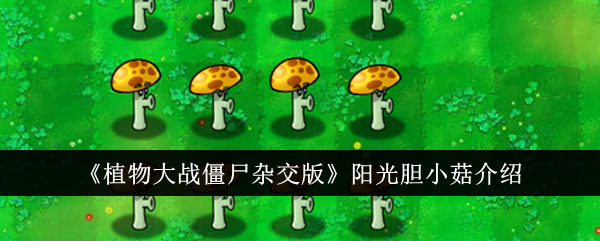 如何在植物大战僵尸杂交版中使用阳光胆小菇？