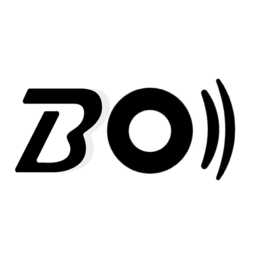 bo系统原版app安卓版下载_bo系统原版app最新版下载v1.1
