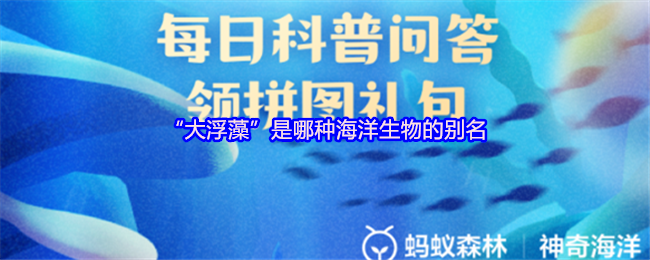 《支付宝》“海洋中的‘大浮藻’究竟是什么生物？”