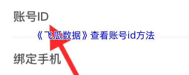 《飞瓜数据》新手必看：快速获取游戏账号ID的实用方法