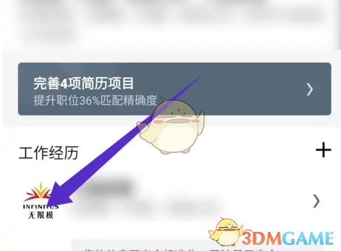 工作经历选项