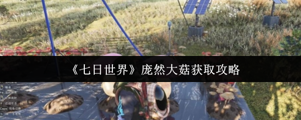 《七日世界》获取庞然大菇的详细指南