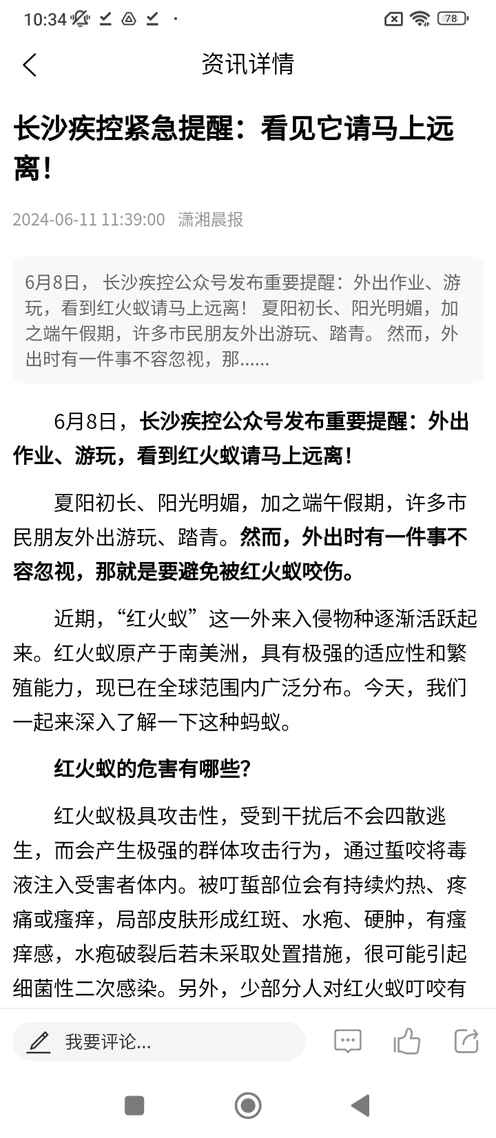 红火蚁