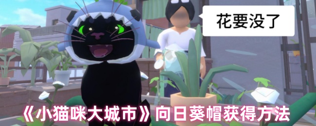 《小猫咪大城市》向日葵帽的获取技巧与攻略