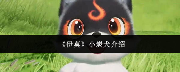 《伊莫》小炭犬的详细解析与饲养指南