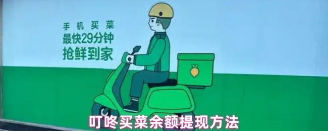 《叮咚买菜》叮咚买菜余额如何快速
