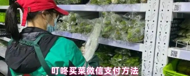 《叮咚买菜》叮咚买菜如何使用微信支付指南