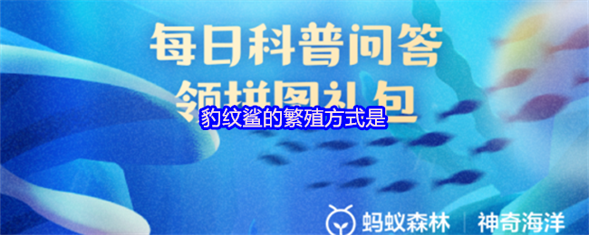 《支付宝》豹纹鲨的繁殖方式揭秘