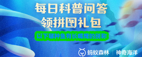《支付宝》长嘴鹰别名的鱼类盘点