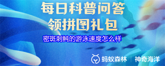 《支付宝》密斑刺鲀的游泳速度分析与探讨
