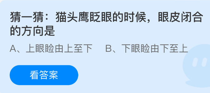 《支付宝》猫头鹰眨眼时眼皮闭合的方向揭秘