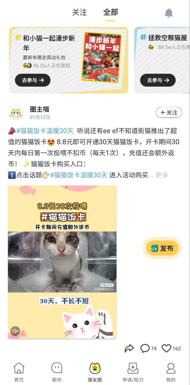哈啰街猫