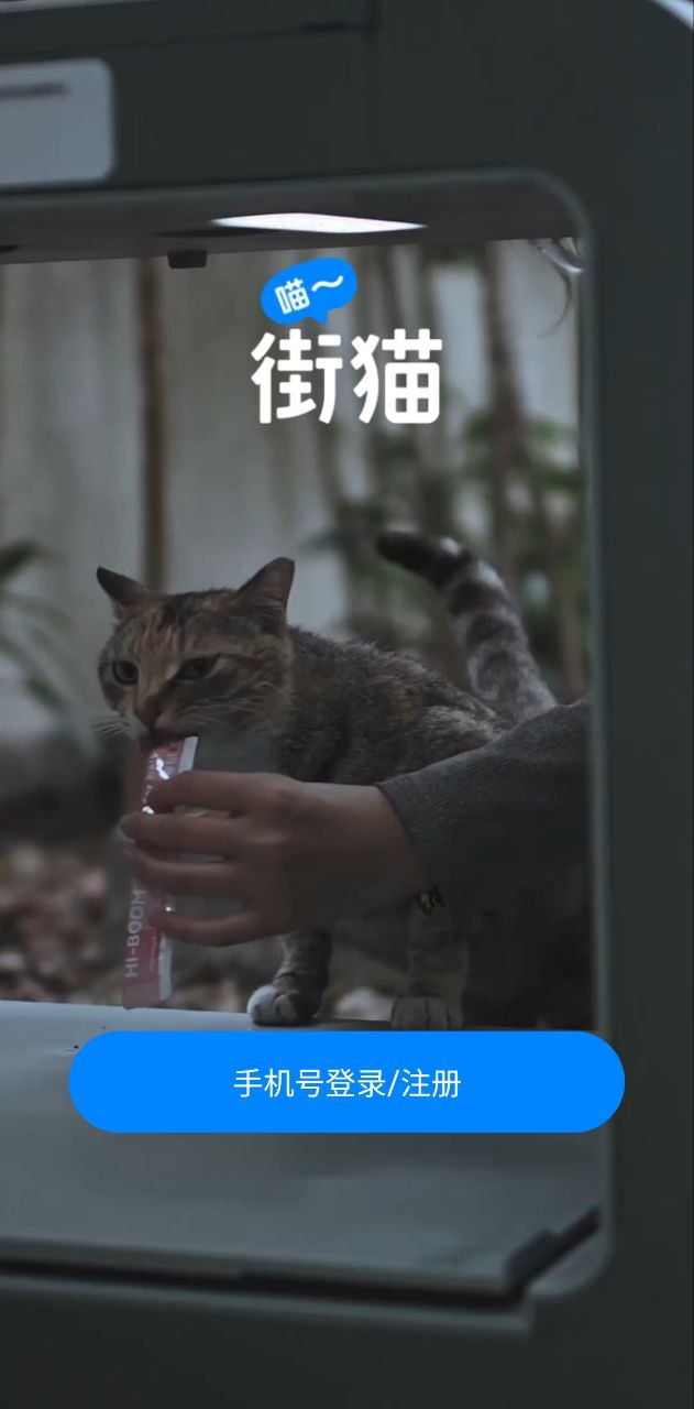 哈啰街猫