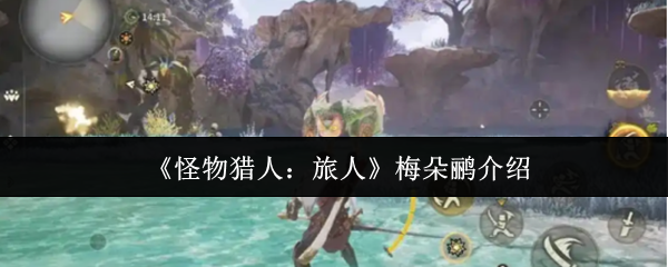《怪物猎人：旅人》梅朵鹂详解与玩法分析