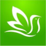 百灵健康app下载_百灵健康app最新版免费下载