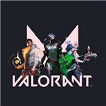 Valorant国服app下载_Valorant国服app最新版免费下载