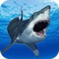 鲨鱼的恐怖袭击app下载_鲨鱼的恐怖袭击app最新版免费下载