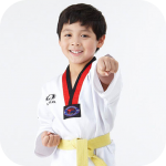 儿童跆拳道app下载_儿童跆拳道app最新版免费下载