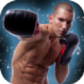跆拳道明星app下载_跆拳道明星app最新版免费下载