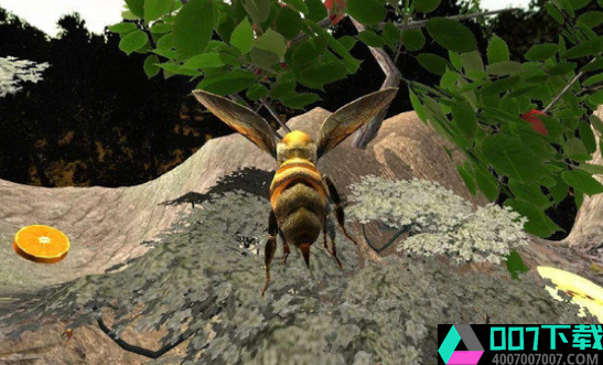 蜜蜂生存模拟器破解版app下载_蜜蜂生存模拟器破解版app最新版免费下载