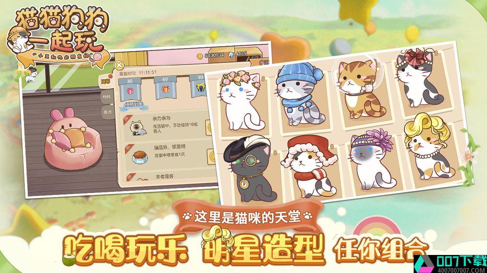 猫猫狗狗一起玩app下载_猫猫狗狗一起玩app最新版免费下载