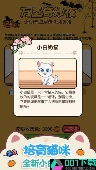 猫咪公寓破解版app下载_猫咪公寓破解版app最新版免费下载