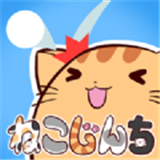 猫咪阵地app下载_猫咪阵地app最新版免费下载