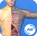 AR人体app下载_AR人体app最新版免费下载