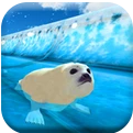 北极动物冻水滑块app下载_北极动物冻水滑块app最新版免费下载