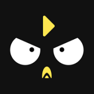 笨鸟数据app下载_笨鸟数据app最新版免费下载