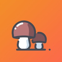小蘑菇兼职app下载_小蘑菇兼职app最新版免费下载