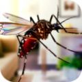 蚊子家庭生活模拟器app下载_蚊子家庭生活模拟器app最新版免费下载