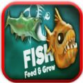 鱼的成长app下载_鱼的成长app最新版免费下载