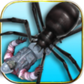 捕杀蜘蛛模拟app下载_捕杀蜘蛛模拟app最新版免费下载