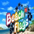 BeachFlags