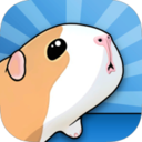 豚鼠和桥梁app下载_豚鼠和桥梁app最新版免费下载