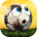 卢卡足球梦想家最新版app下载_卢卡足球梦想家最新版app最新版免费下载