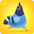 神奇啄木鸟最新版app下载_神奇啄木鸟最新版app最新版免费下载