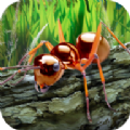 蚂蚁生存模拟器中文版app下载_蚂蚁生存模拟器中文版app最新版免费下载
