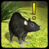 家鼠模拟器汉化版app下载_家鼠模拟器汉化版app最新版免费下载