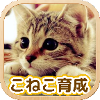 3D猫咪养成app下载_3D猫咪养成app最新版免费下载