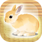 治愈兔兔养成app下载_治愈兔兔养成app最新版免费下载