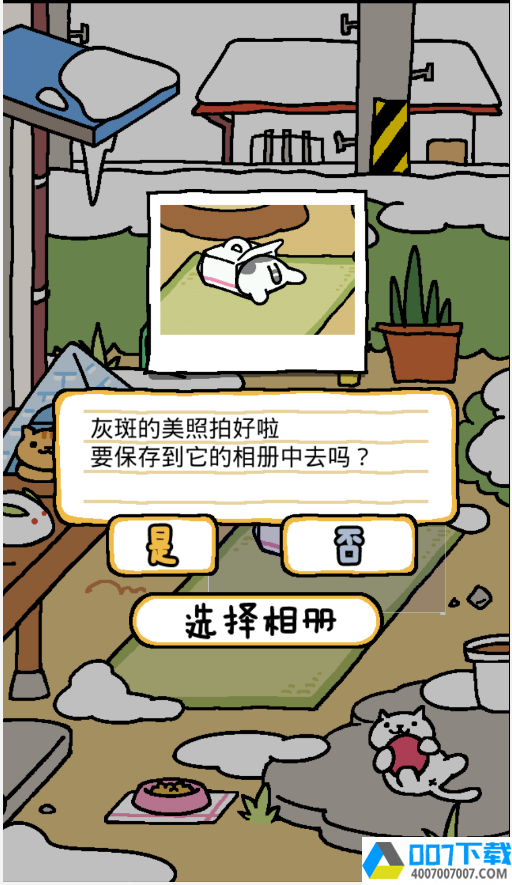 猫咪后院app下载_猫咪后院app最新版免费下载