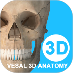 维萨里3d解剖app下载_维萨里3d解剖app2021最新版免费下载