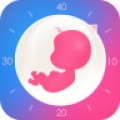 怀孕管家app下载_怀孕管家app最新版免费下载